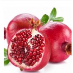 Hicaz Nar Fidanı...