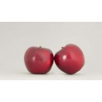 Galaval Elma Fidanı...