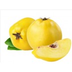 Zeybek 35  Ayva Fida...